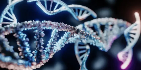 Erkeklik Kromozomu İçin Alarm: Gen Kaybı Devam Ediyor