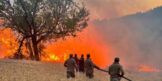 19 Günde 61 Orman Yangını: 23 Şüpheli Gözaltında
