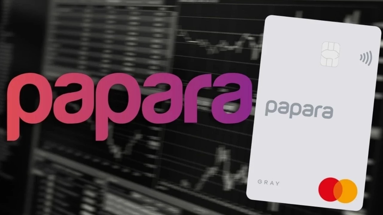 papara-md5y_cover
