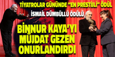 revize
