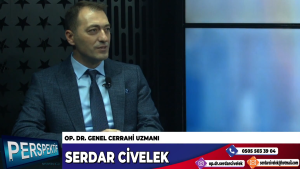 serdar civelek