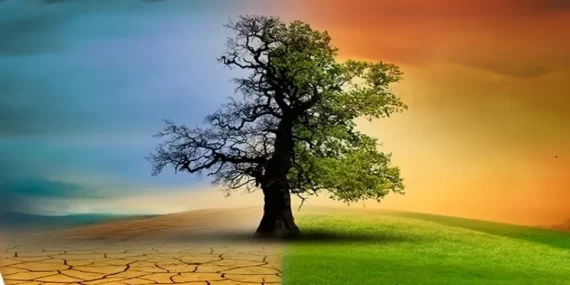 Türkiye’nin İlk İklim Kanunu Yürürlüğe Girdi!